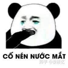 表情包猜字谜越南