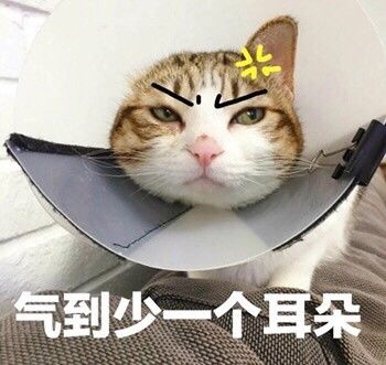  开炮开炮开炮亮剑李云龙呐喊动图开炮亮剑动图李云龙呐喊表情