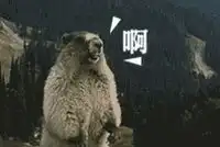 副驾驶有新的文章更新,请注意查收 副驾驶有新的文章更新,请注意查收