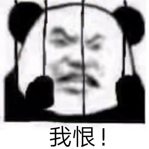  冬天的第一口西北风就要来了
