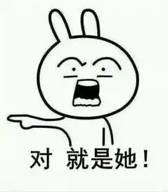 是他是他就是他表情包