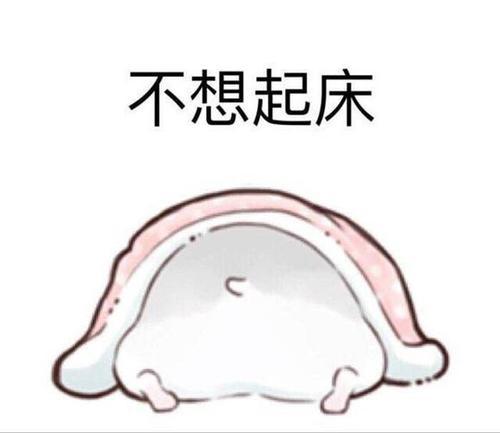 仓鼠表情包我生气啦,哄不好的那种