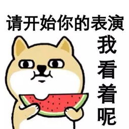  请开始你的表演