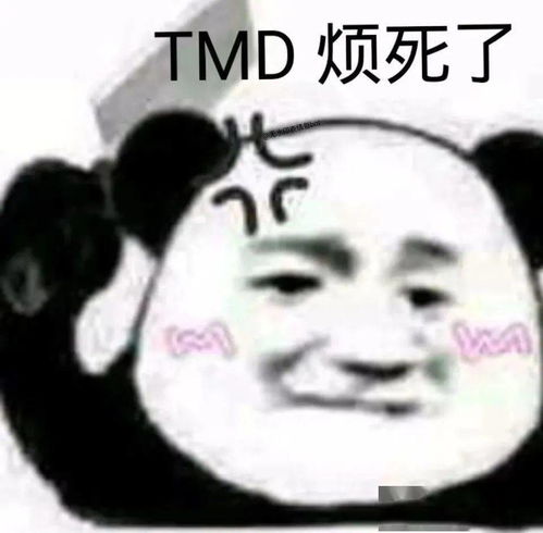  信号黑洞1留学生是怎么度过封城那些日子的