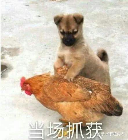  一个长相还算可以身材微胖的女孩子没有人追会是什么原因呢