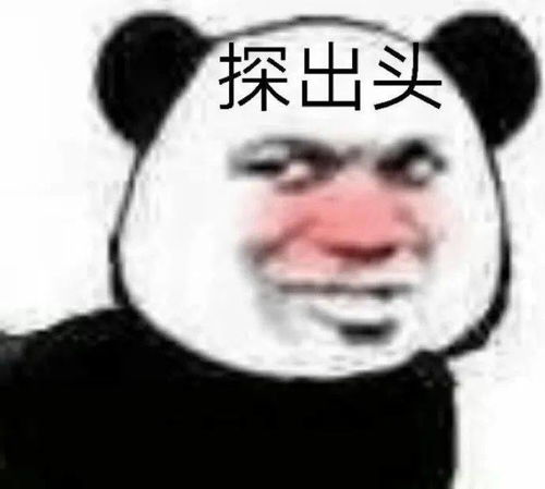给花表情包盒子