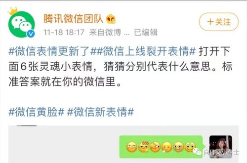  你的微信表情包更新了吗