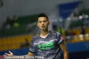 全运羽球林丹率北京两连捷傅海峰助广东首胜 全运羽球林丹率北京两连捷傅海峰助广东首胜