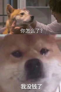  每日神段子丨我等快递的时候真是毫无尊严