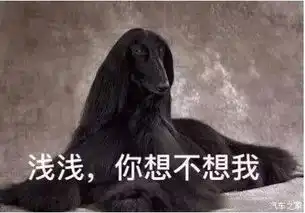  三生三世今天不谈桃花就聊它奔腾x40_瑞源汽车服务新闻资讯-汽车之家