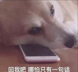  瘦脸针,脸大的人打就是了,别问我为什么