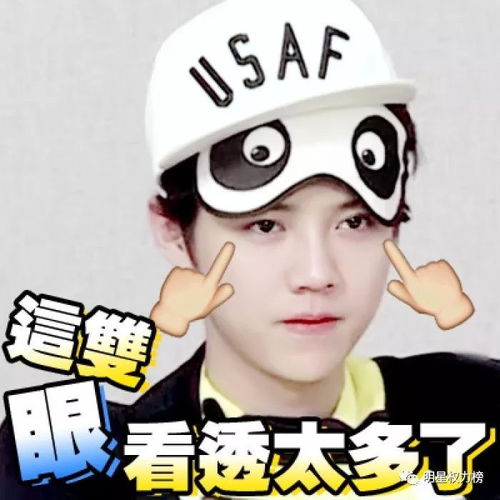  小生存货盘点鹿晗李易峰张艺兴陈伟霆谁的作品会成为明年的大爆之作
