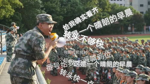  太精彩了同济人的军训还可以在水上玩