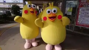  新晋网红鹦鹉兄弟要打败熊本熊吗