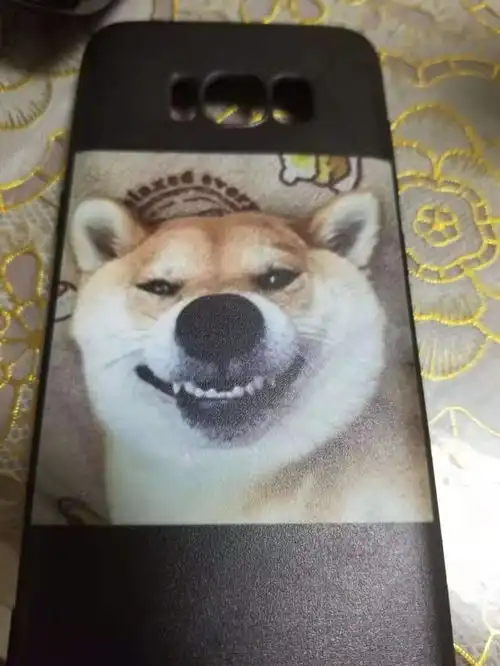 神回复相亲对象,你也没人要吗 神回复相亲对象,你也没人要吗