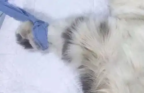 普通玩家vs人民币玩家,没有对比就没有伤害 普通玩家vs人民币玩家,没有对比就没有伤害