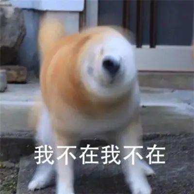  大学生黑话合集,你能听懂几句