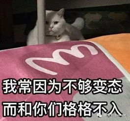 无可捺何表情