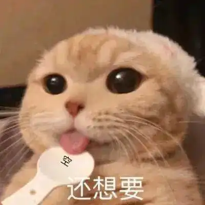 光听名字,就已经狂咽口水500次 光听名字,就已经狂咽口水500次