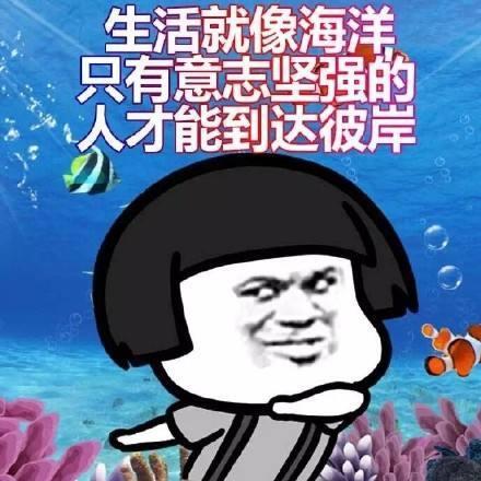 群主好大家早上好表情