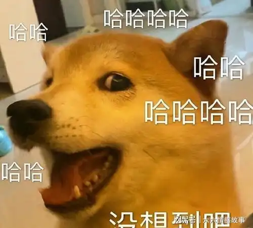 自带福气的几种狗,遇到别错过,旺家又旺财 自带福气的几种狗,遇到别错过,旺家又旺财