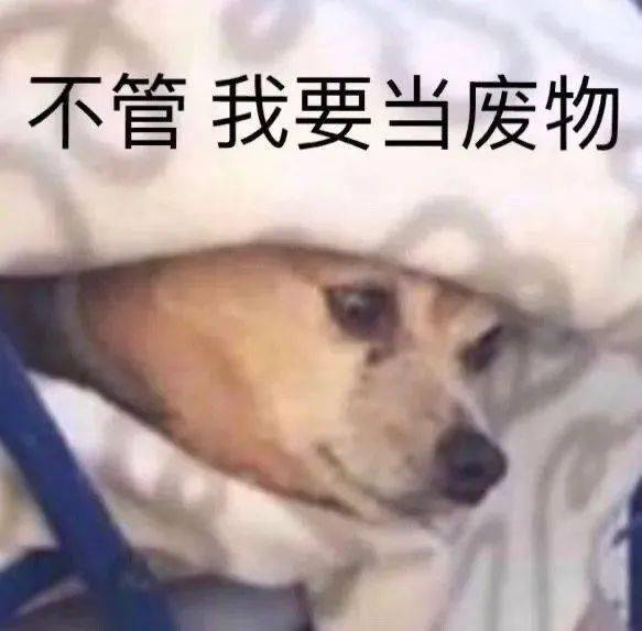 表情包杂集杂七杂八表情包,一起更新就好了 表情包杂集杂七杂八表情包,一起更新就好了