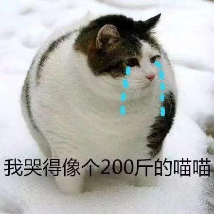  今年要多上1个月班国庆中秋是同一天,还有更惊喜的......