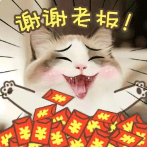  谢谢老板丨第311期喵表情包