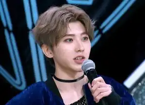 蔡徐坤发型表情包鬼畜华