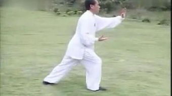  弓林66杨氏太极拳