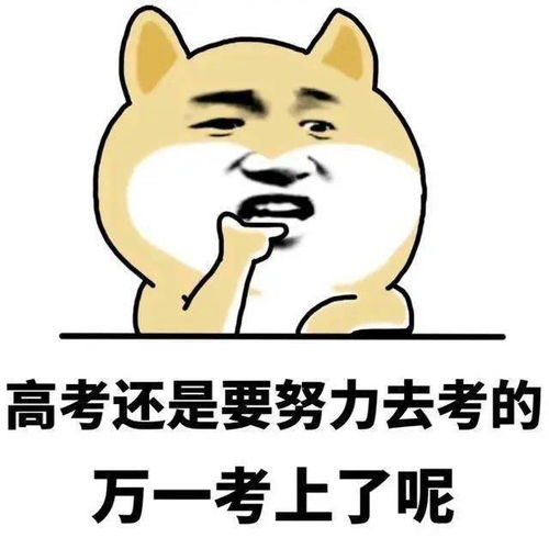  高考解压别焦虑了,点进来轻松一下