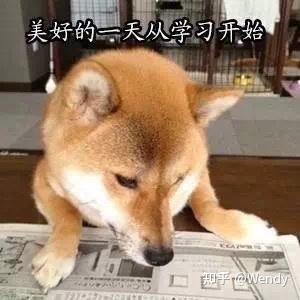  高三英语4000词汇量大概对应多少英语成绩