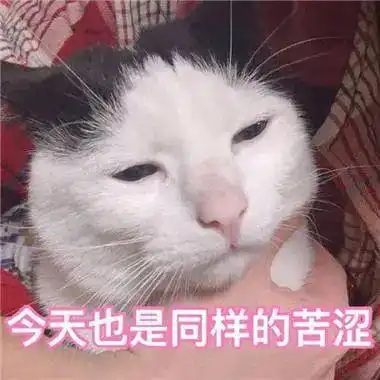 美了美了歌词表情包脸大