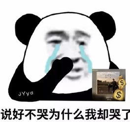  有小学生在周杰伦演唱会上写作业网友我们写作业用耳机听歌,人家写作业听的是现场