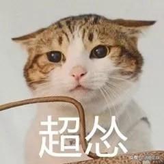  为什么大二最适合谈恋爱