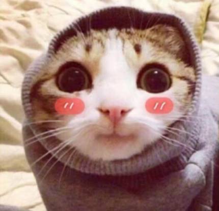 大跌眼镜原来这些大文豪撩妹竟然这么大胆 大跌眼镜原来这些大文豪撩妹竟然这么大胆