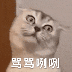  骂骂咧咧猫咪动态表情包骂骂咧咧猫咪表情