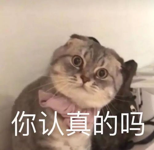  福利爆料秒杀点进来全收辣