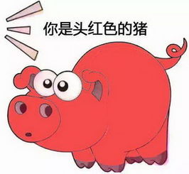  表情包,抖音七彩猪表情包gif动图