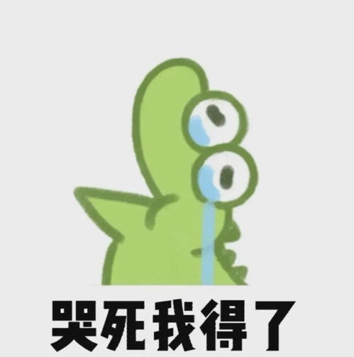 超可爱的抹茶旦旦表情包 超可爱的抹茶旦旦表情包