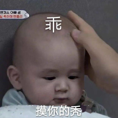  摸摸你的秃头来评论聊天啦
