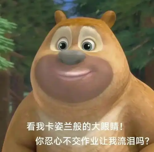  如何用表情包来表达该交作业啦