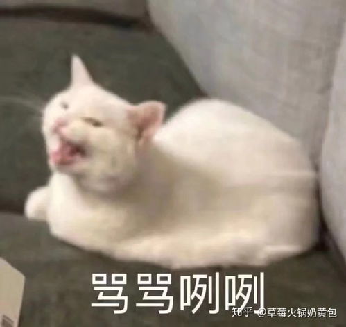  请问一下湖南长沙职业技术学院,长沙工业职业学校,长沙科技学校,长沙艺术学校哪个好些,谢谢