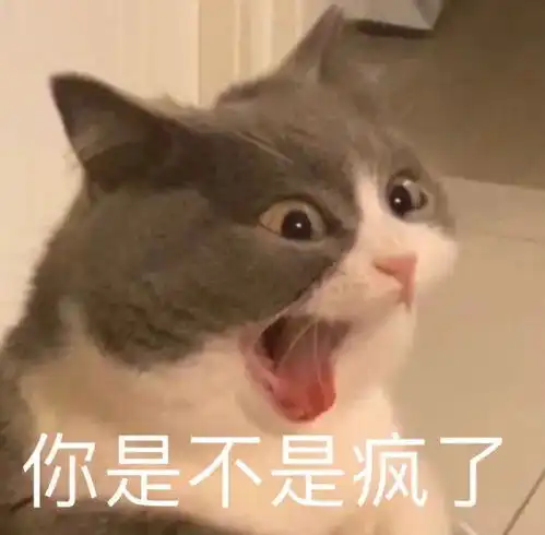 可爱猫猫表情包一我好想你鸭 可爱猫猫表情包一我好想你鸭