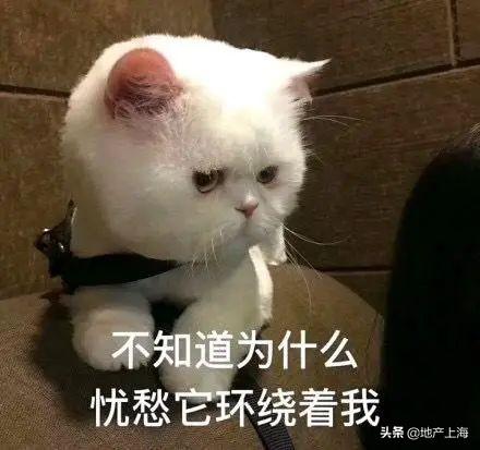  2020学区重新划定有人笑到天亮,有人损失惨重