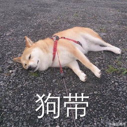  酸辣土豆丝8元一根他的指甲有科研价值