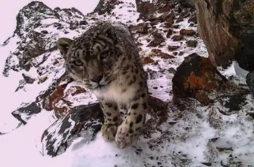 国家卫健委2024年将进一步完善儿童医疗卫生服务体系 国家卫健委2024年将进一步完善儿童医疗卫生服务体系