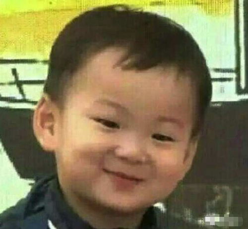 wink表情包小男孩宋民国