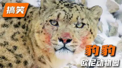 芝士雪豹冤冤相豹何时了,豹毙啦动物世界搞笑反转雪豹 芝士雪豹冤冤相豹何时了,豹毙啦动物世界搞笑反转雪豹