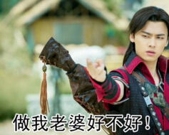  李易峰文字表情包下载李易峰文字表情包下载9553下载
